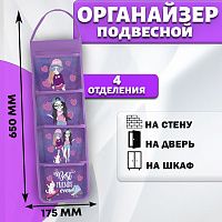 оРГАНАЙЗЕР6