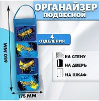 оРГАНАЙЗЕР1