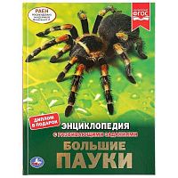 295299_c