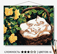 Снимок