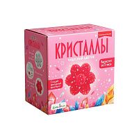 17915_big