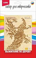 shop_items_catalog_image305943